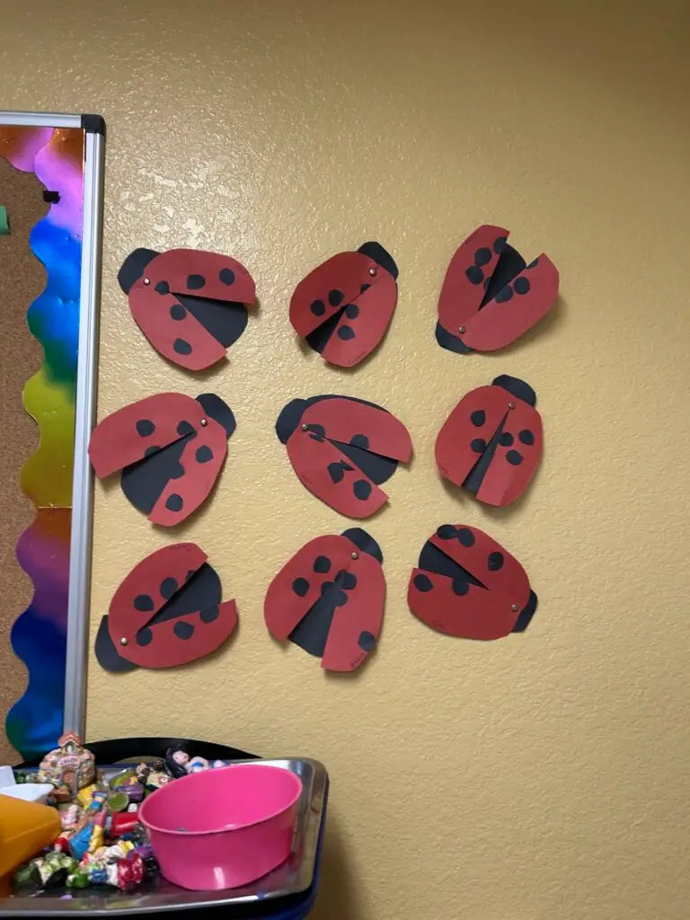 Learning Topic: Insects